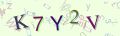 This is a captcha-picture. It is used to prevent mass-access by robots. (see: www.captcha.net)