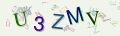 This is a captcha-picture. It is used to prevent mass-access by robots. (see: www.captcha.net)